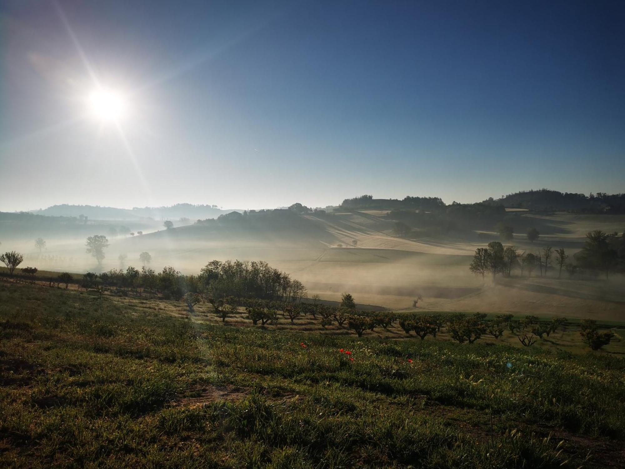 Azienda Agricola Tenuta Del Barone Calliano  Kültér fotó